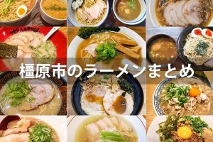 奈良県橿原市の隠れた名店から絶品ラーメンを味わう完全ガイド 95 奈良県橿原市の隠れた名店から絶品ラーメンを味わう完全ガイド